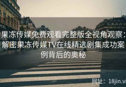 果冻传媒免费观看完整版全视角观察：解密果冻传媒TV在线精选剧集成功案例背后的奥秘