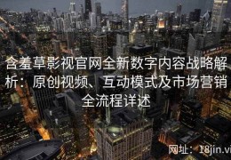 含羞草影视官网全新数字内容战略解析：原创视频、互动模式及市场营销全流程详述