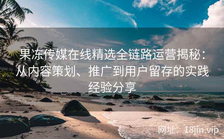 果冻传媒在线精选全链路运营揭秘：从内容策划、推广到用户留存的实践经验分享